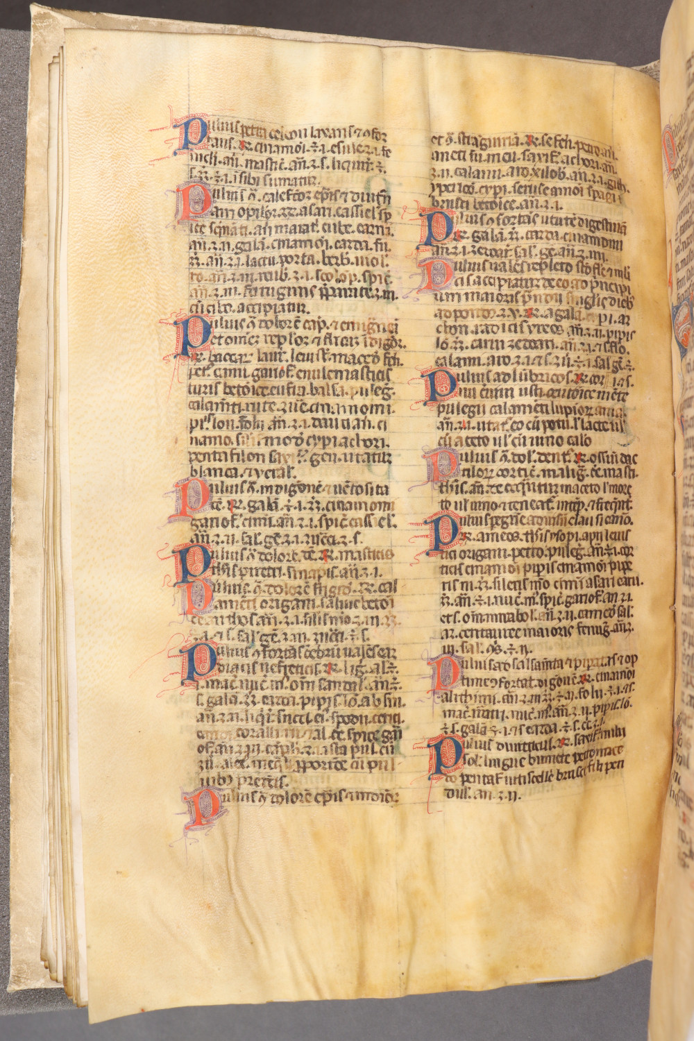 Folio 61 verso