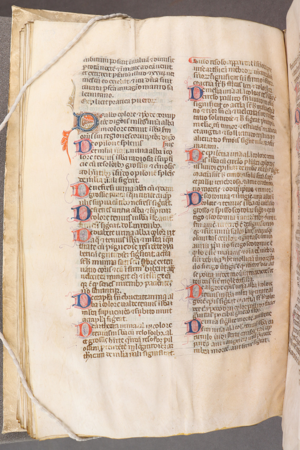 Folio 66 verso