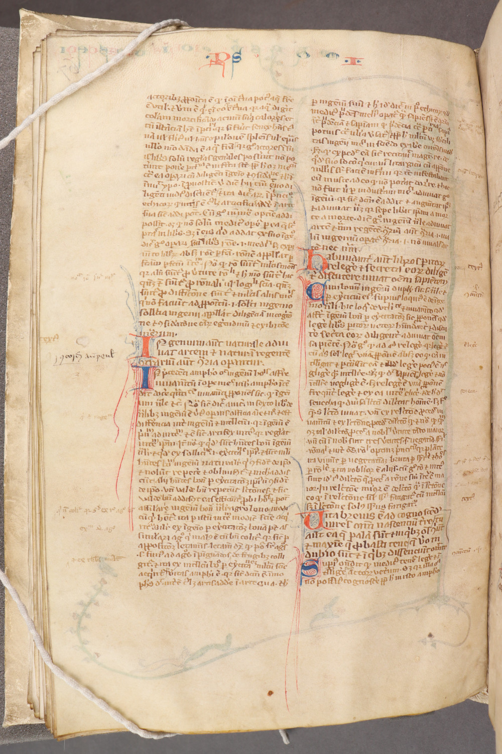 Folio 71 verso