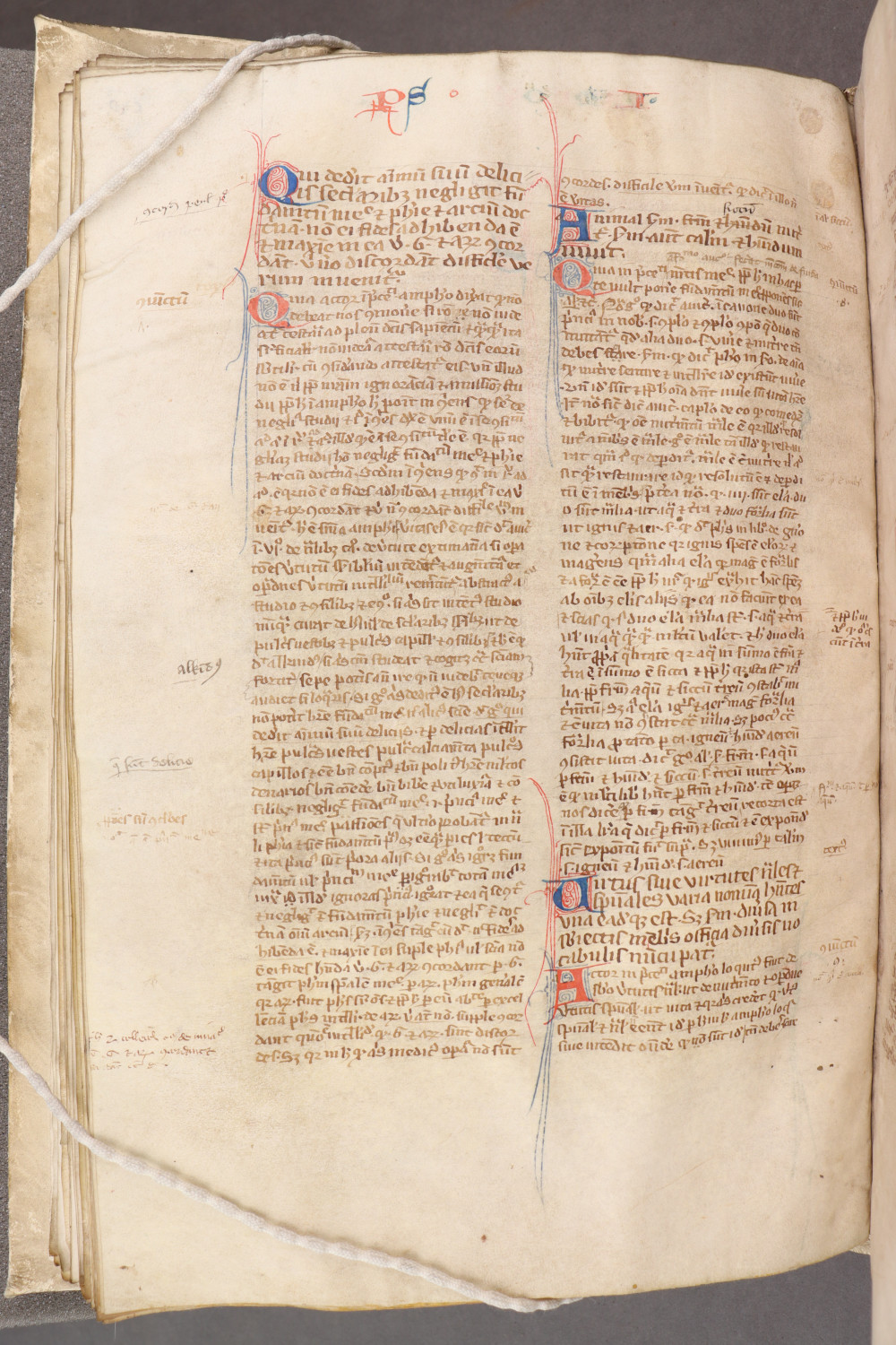 Folio 72 verso