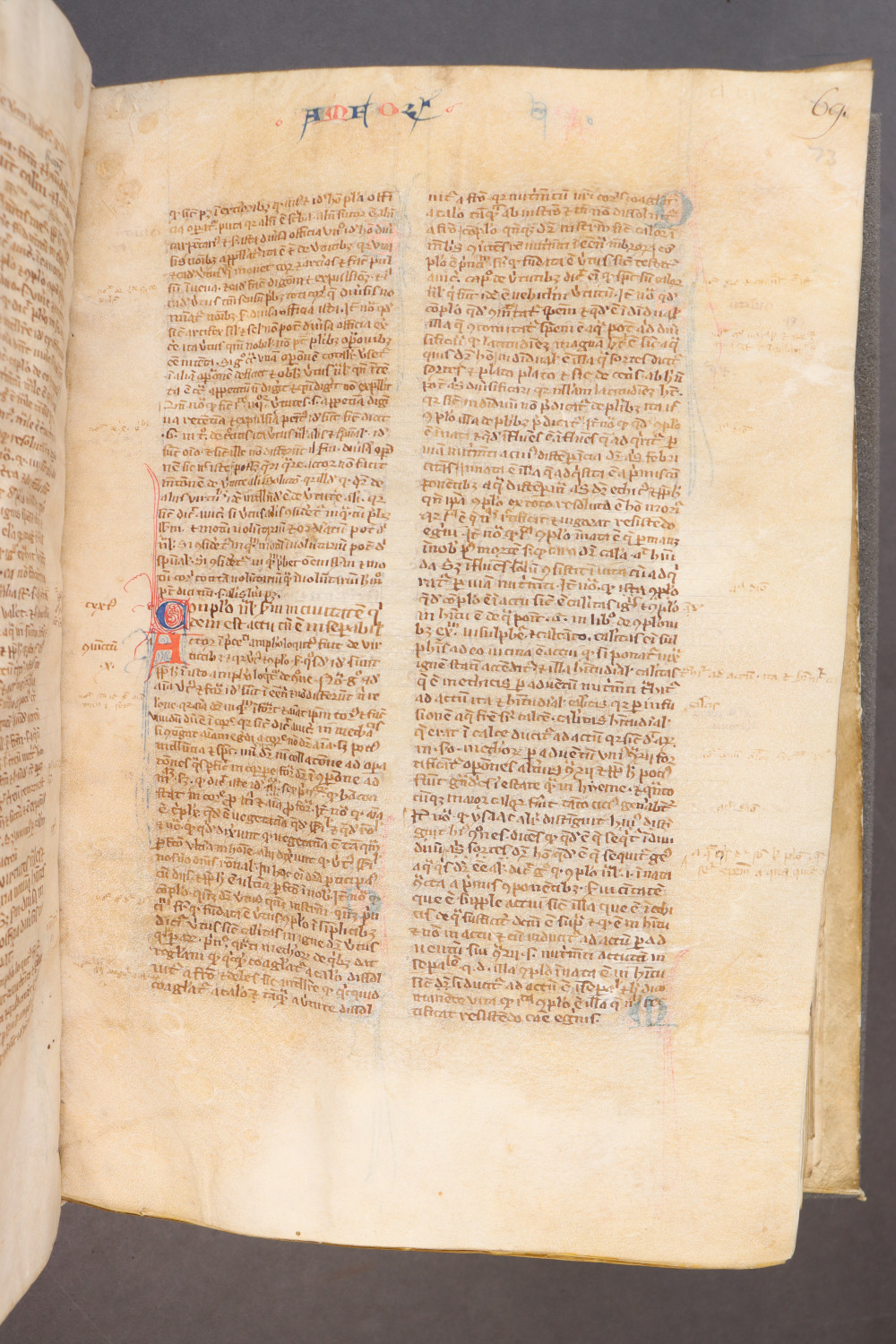 Folio 73 recto