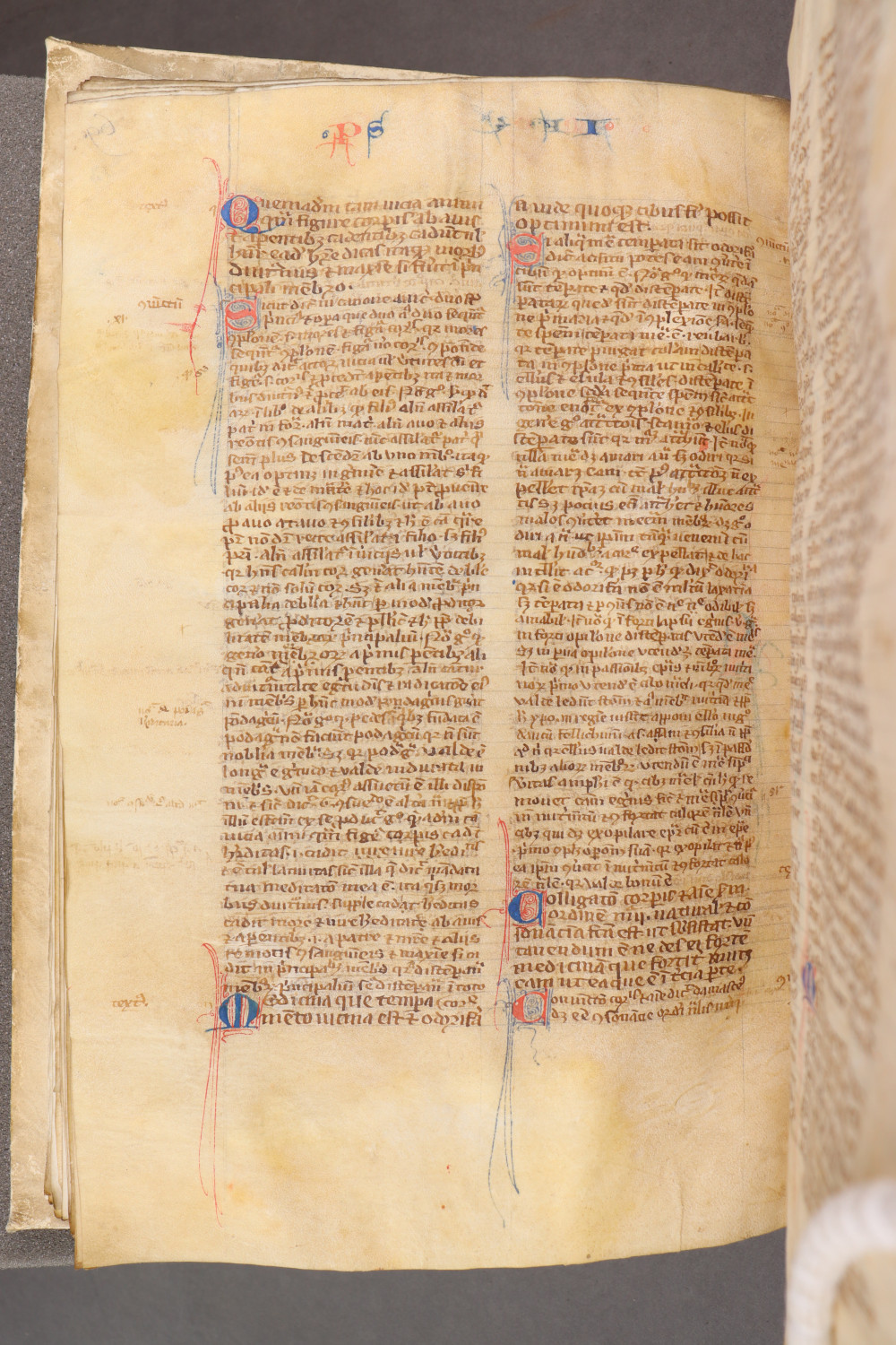Folio 73 verso
