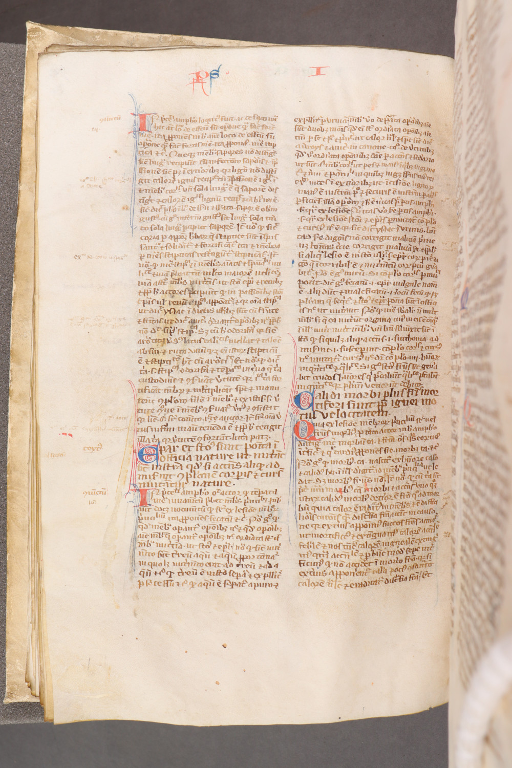 Folio 74 verso