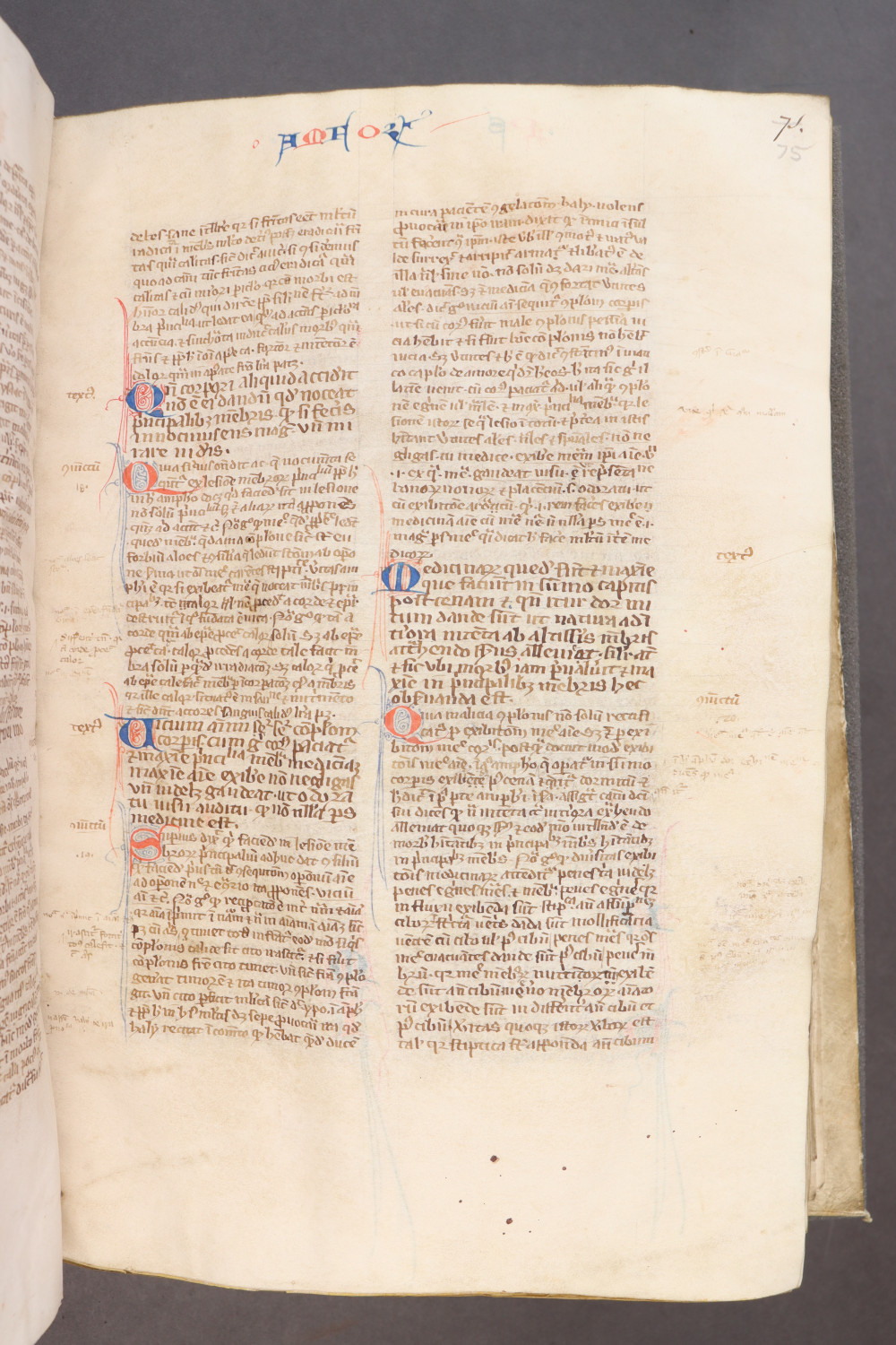 Folio 75 recto