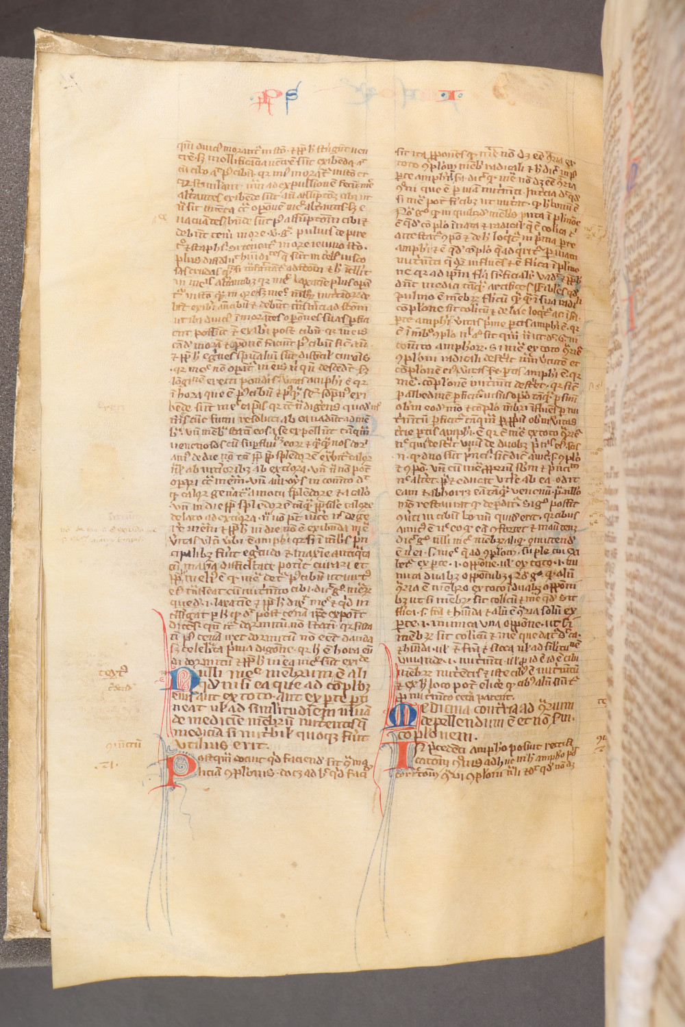 Folio 75 verso
