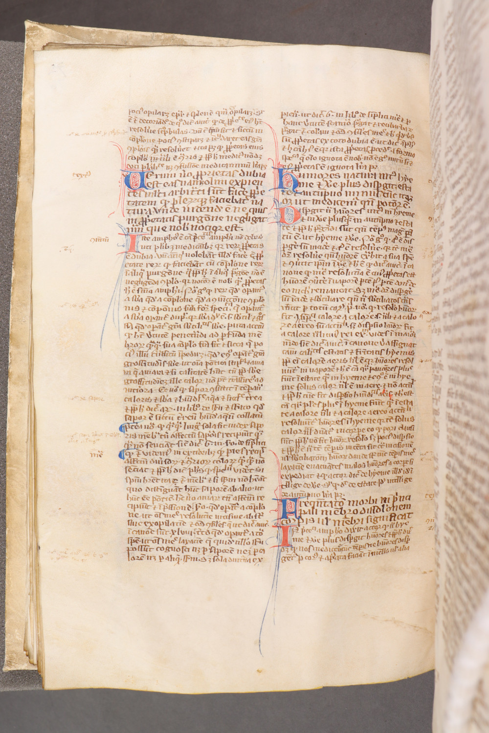 Folio 76 verso