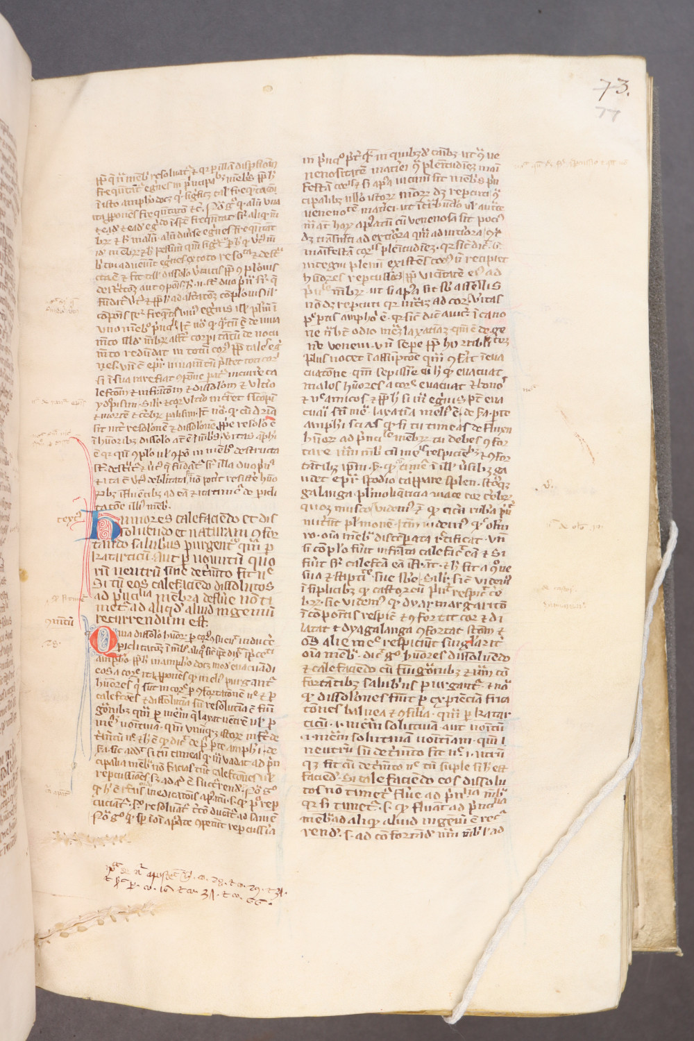 Folio 77 recto