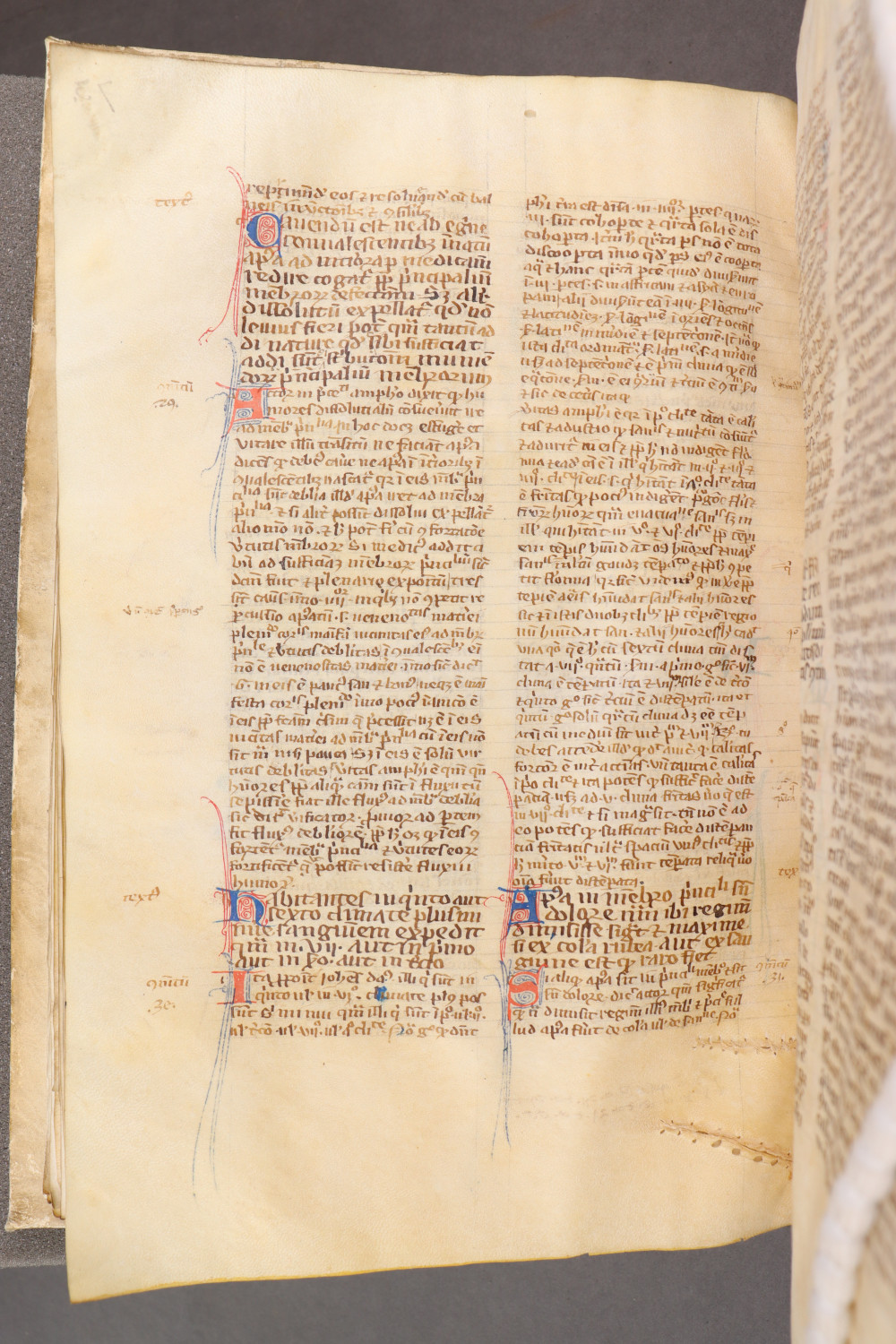 Folio 77 verso