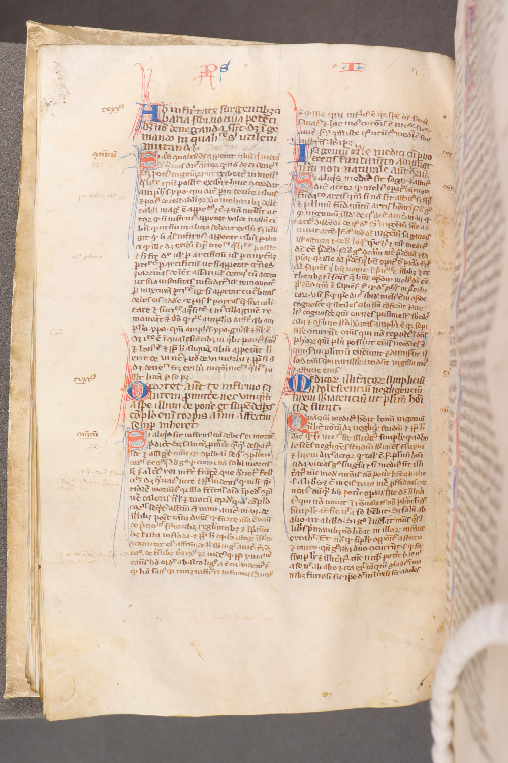 Folio 78 verso