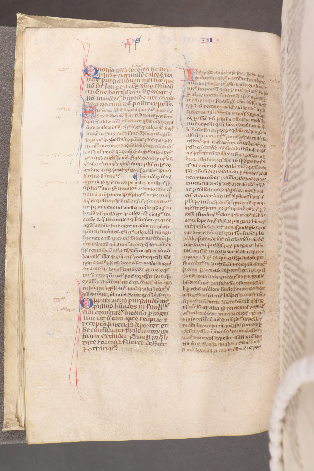 Folio 80 verso