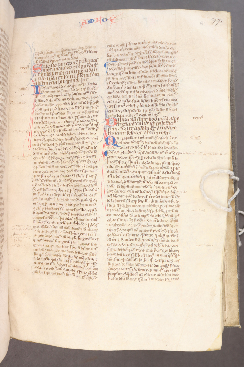 Folio 81 recto