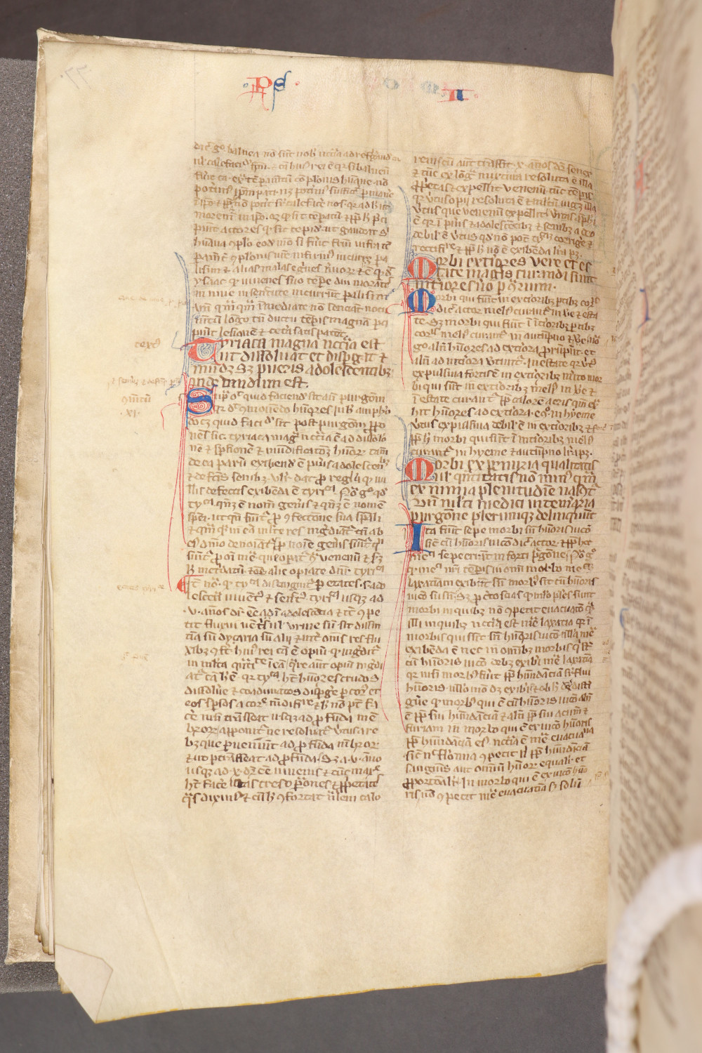 Folio 81 verso