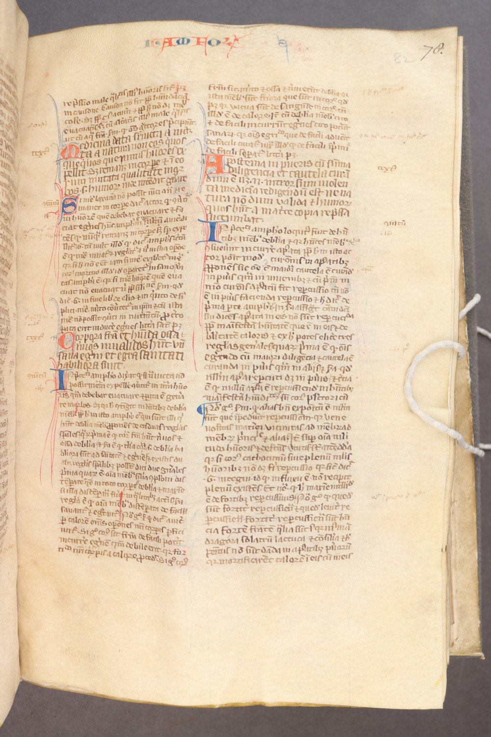 Folio 82 recto