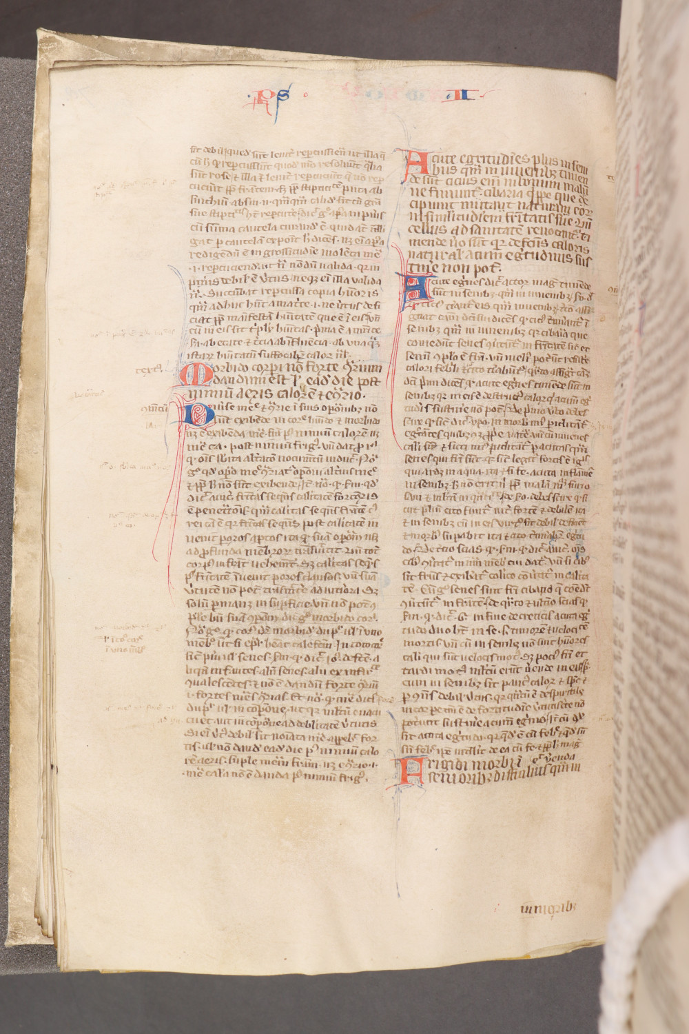 Folio 82 verso