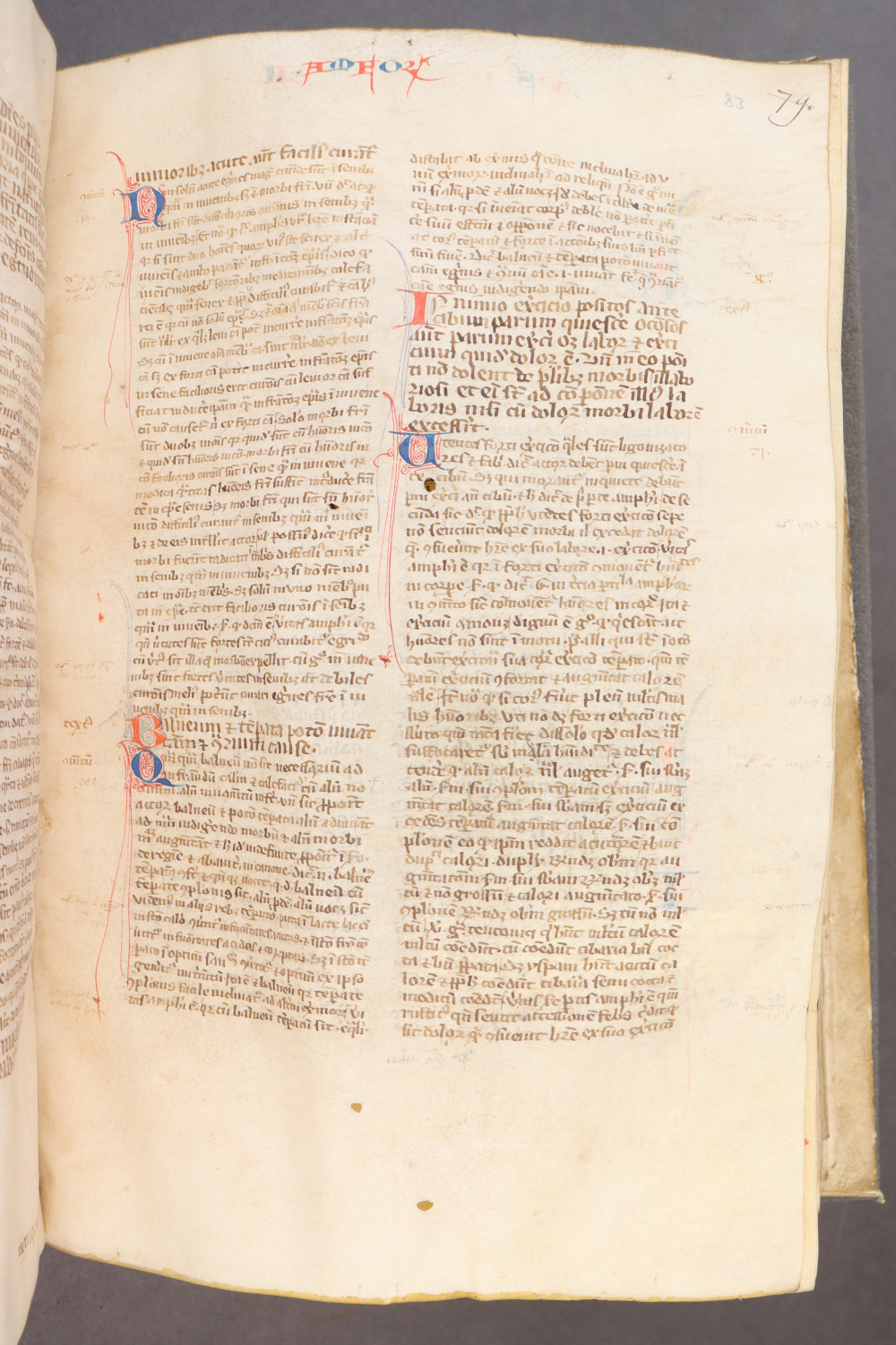 Folio 83 recto