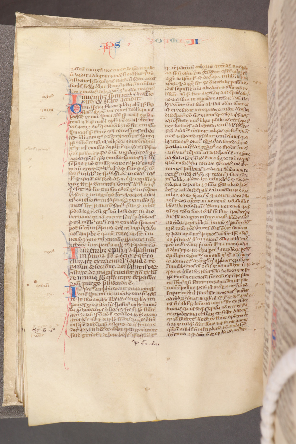 Folio 83 verso