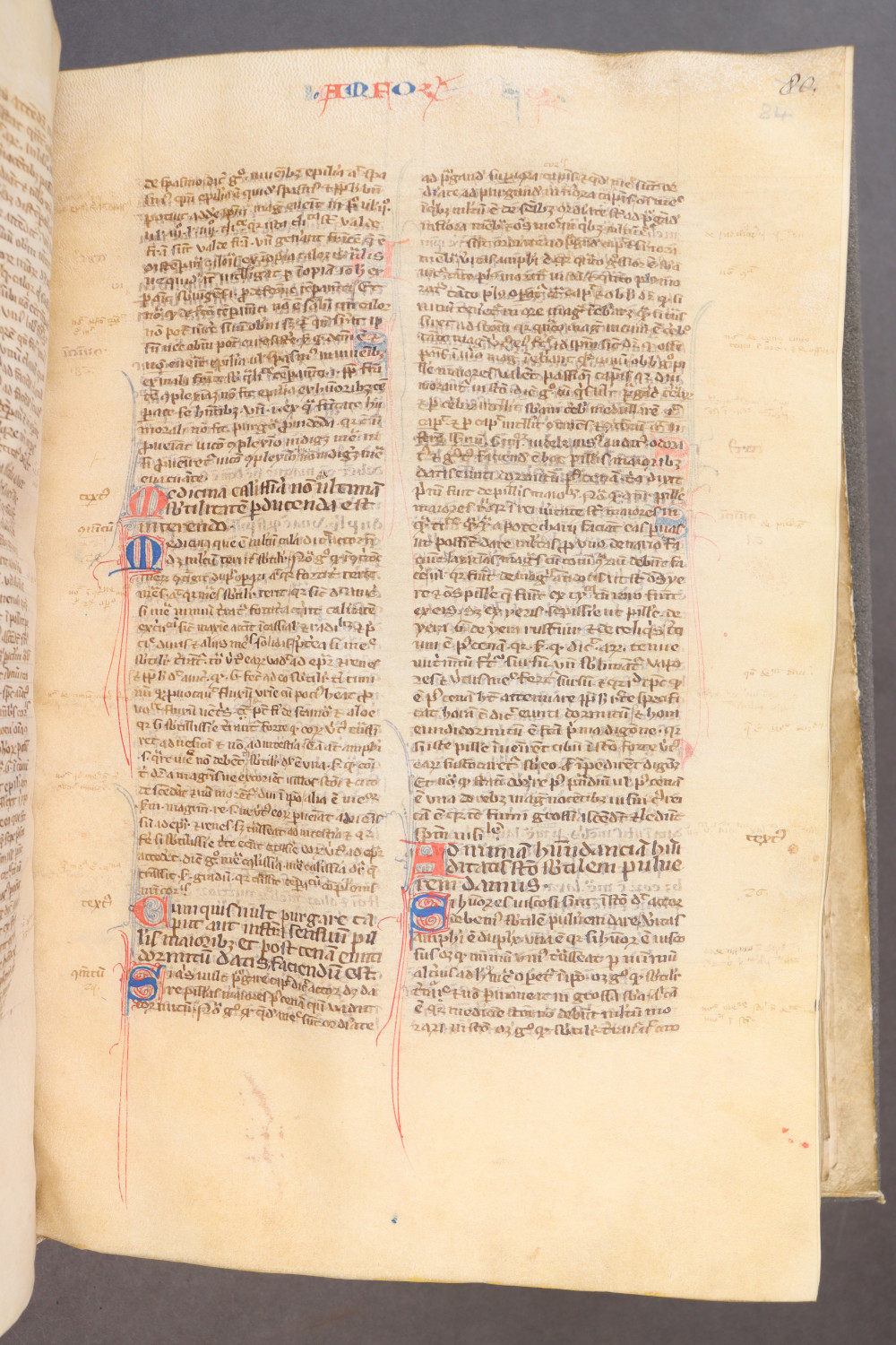 Folio 84 recto