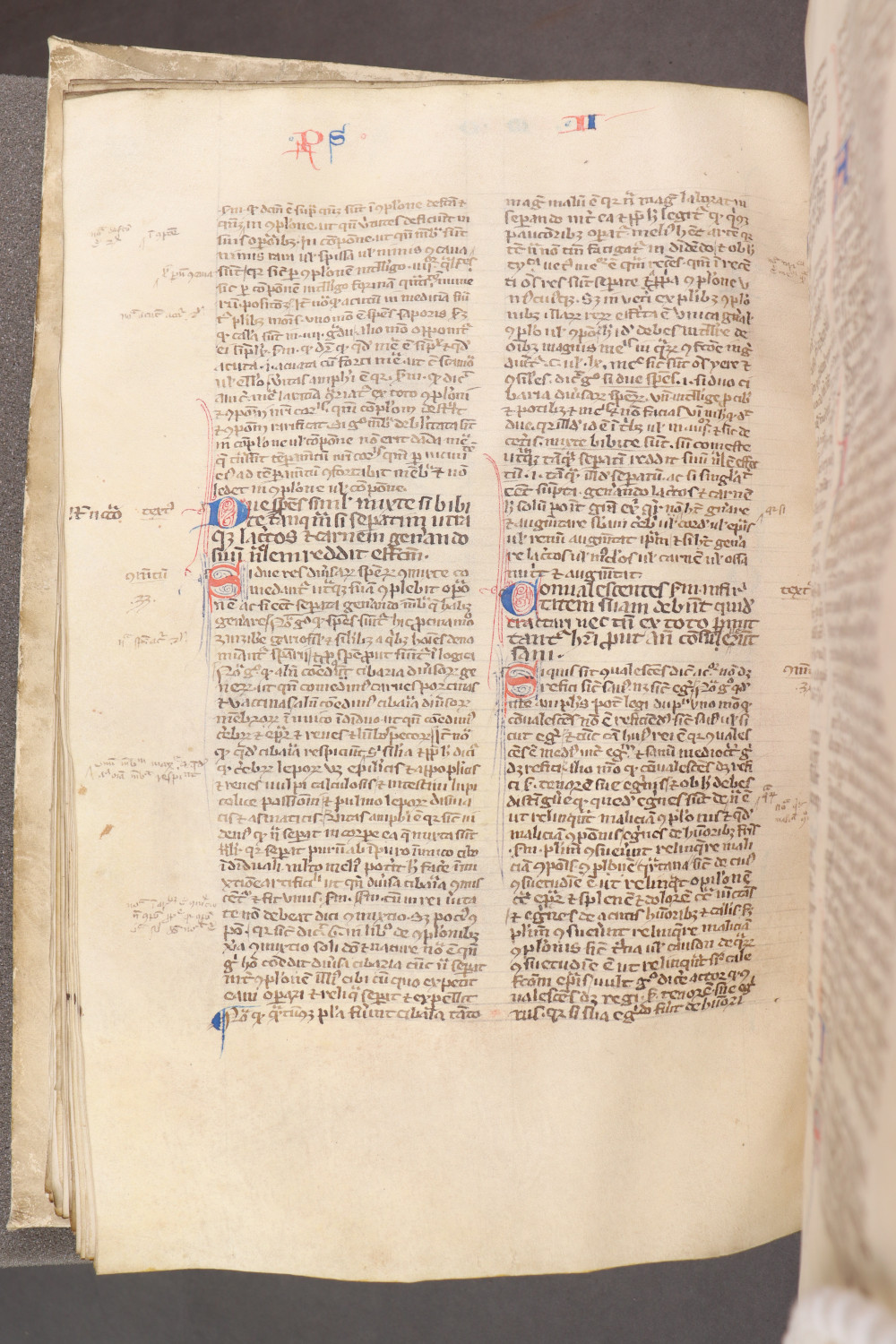 Folio 85 verso