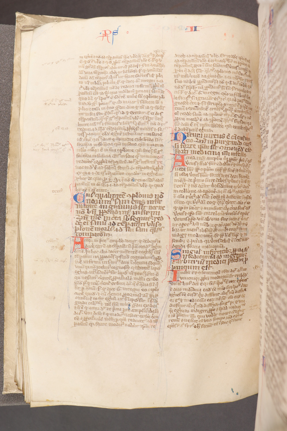 Folio 86 verso