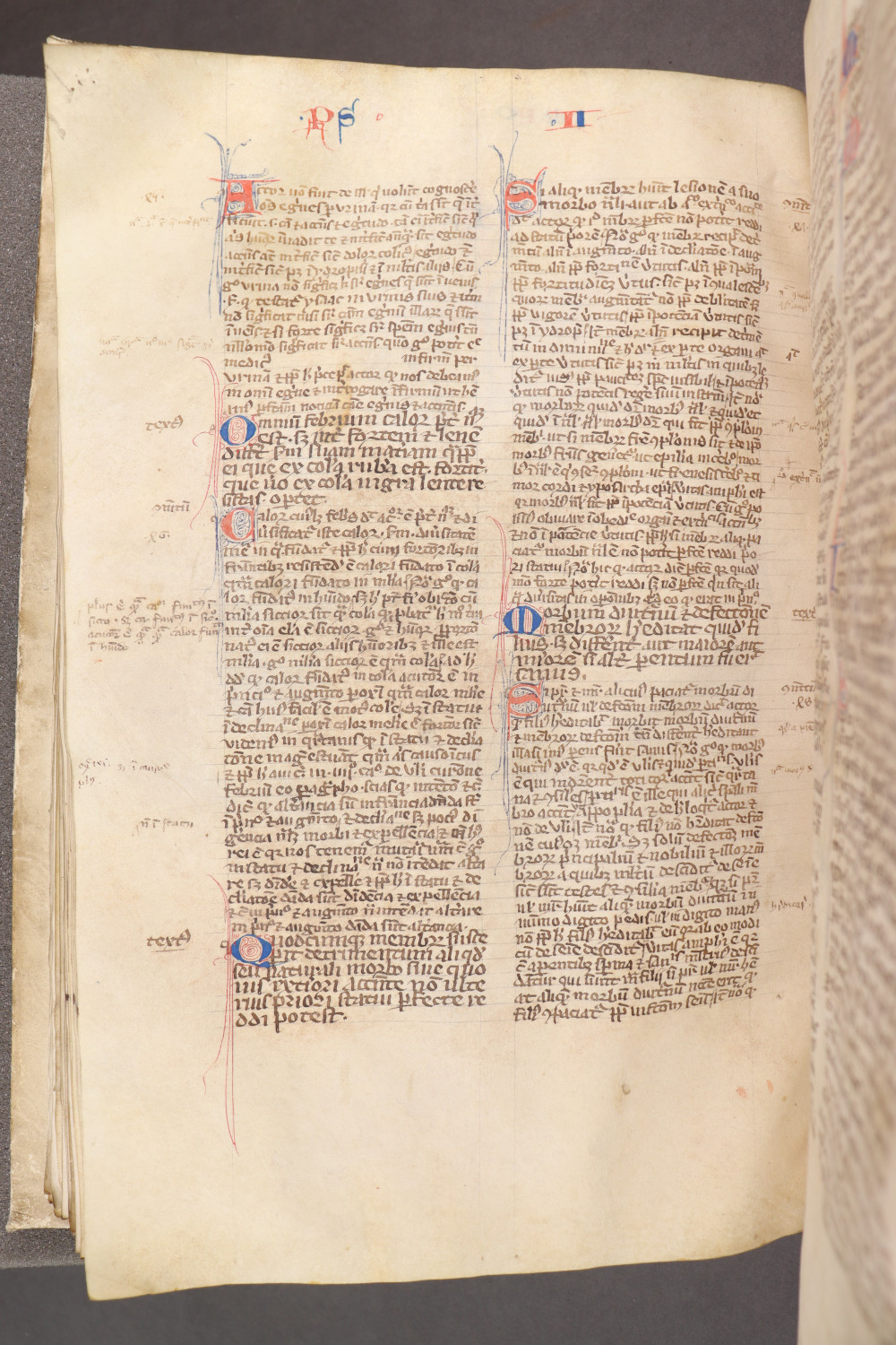 Folio 87 verso