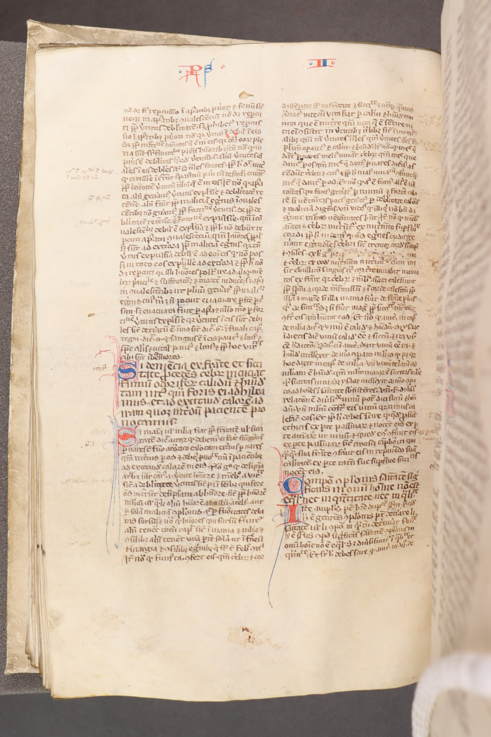 Folio 90 verso
