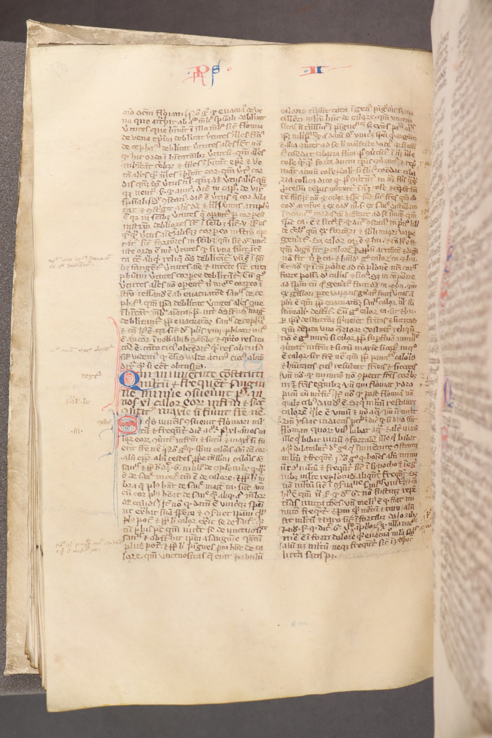 Folio 91 verso