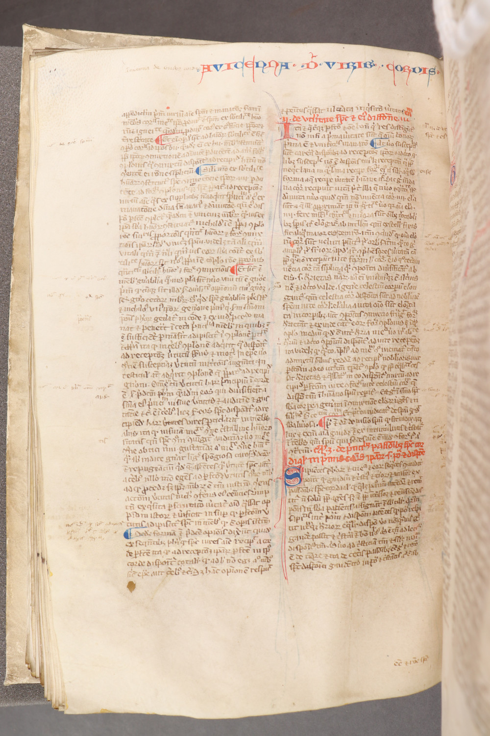 Folio 94 verso