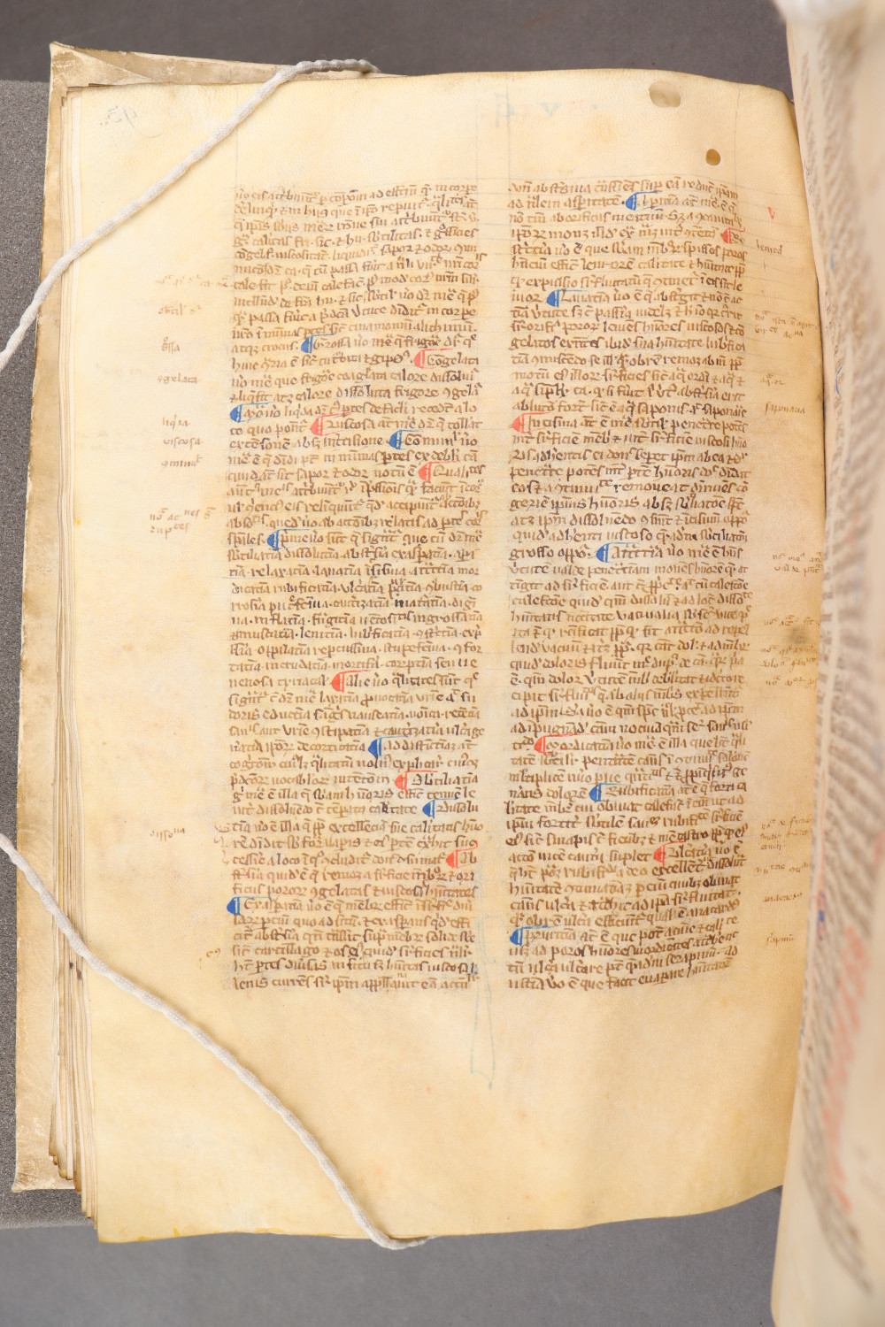 Folio 97 verso