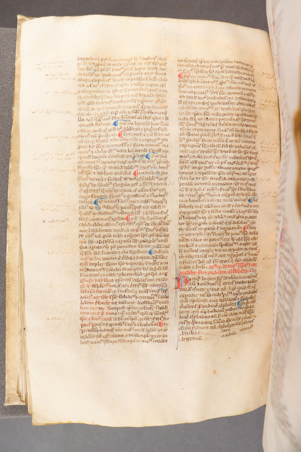 Folio 98 verso