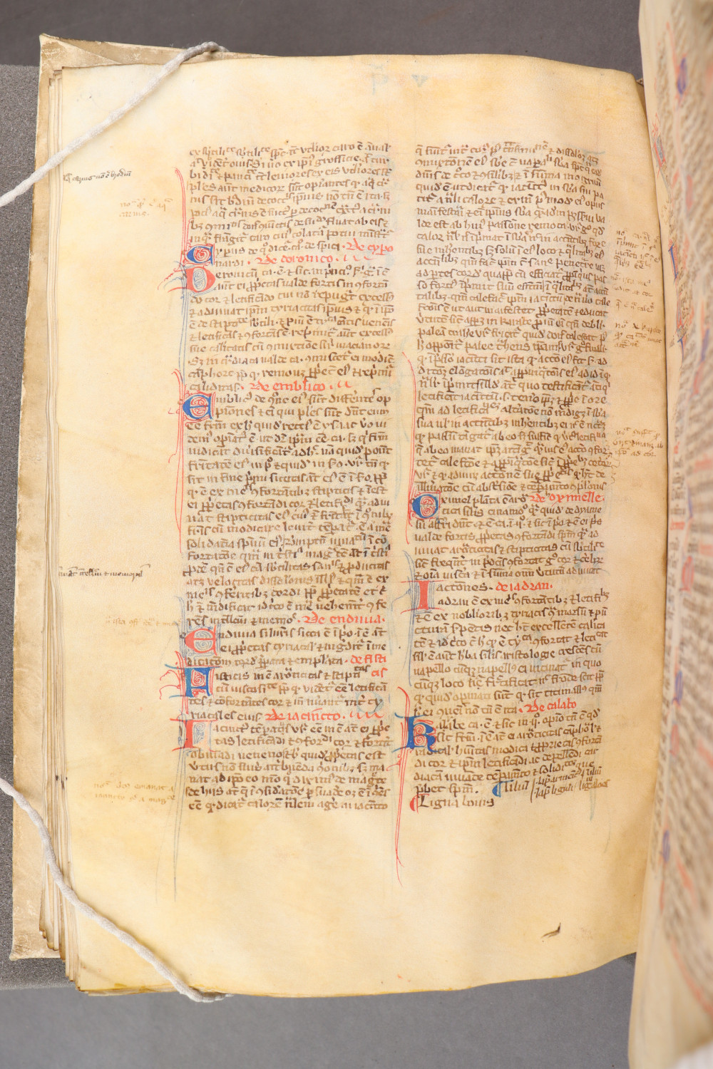 Folio 99 verso