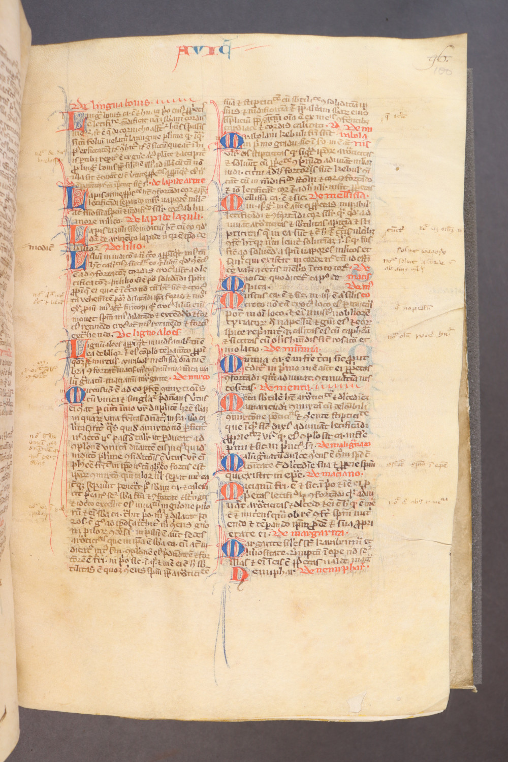 Folio 100 recto