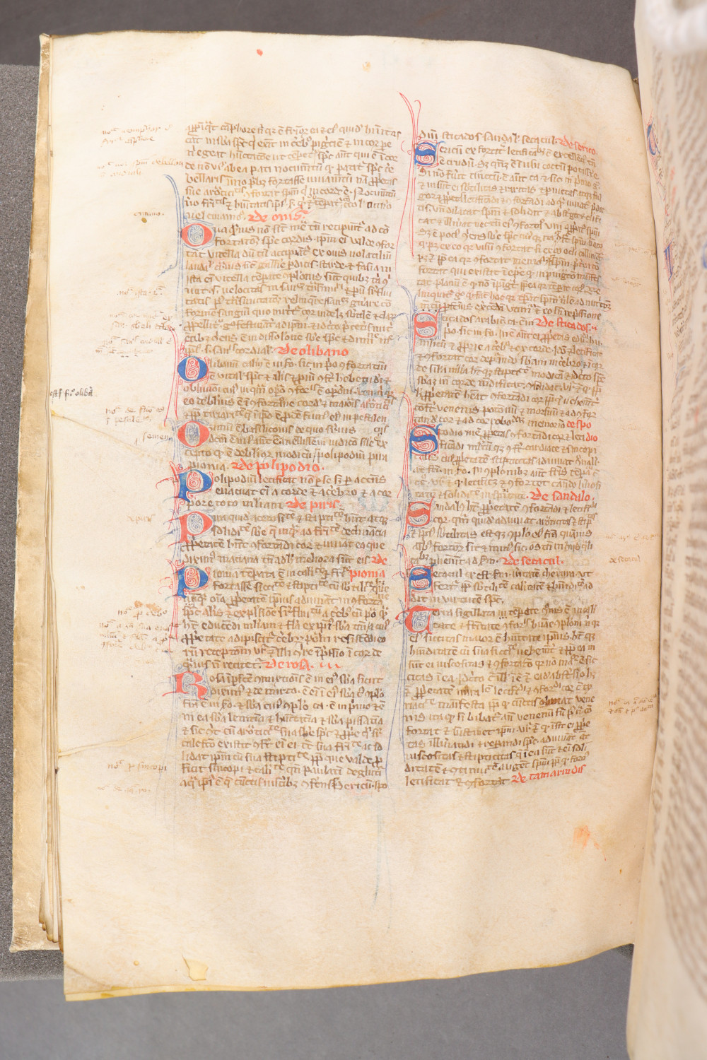 Folio 100 verso
