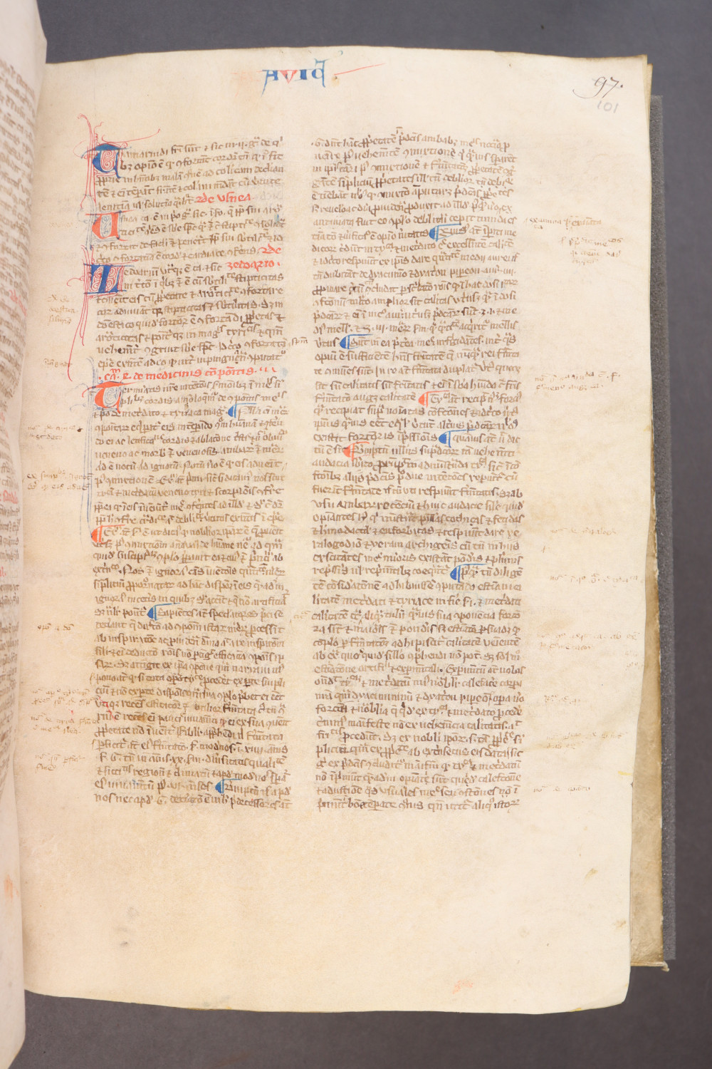 Folio 101 recto