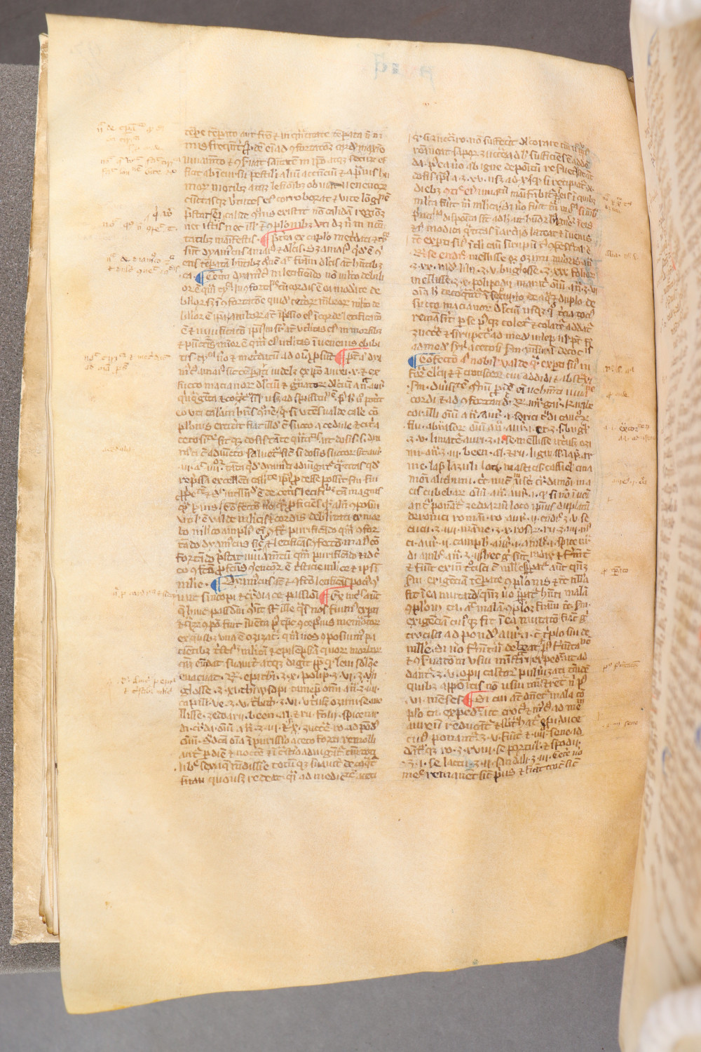Folio 101 verso