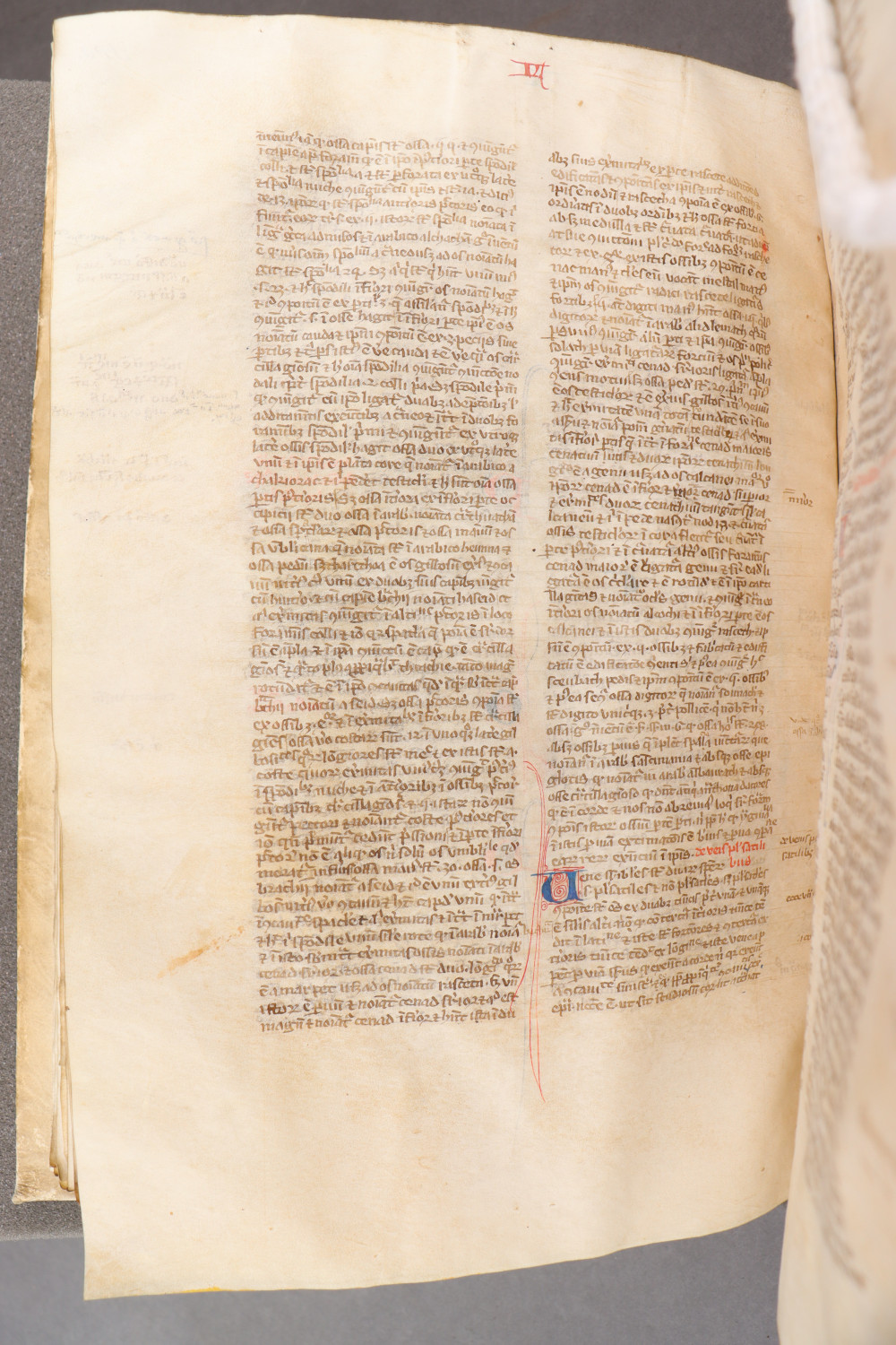 Folio 104 verso