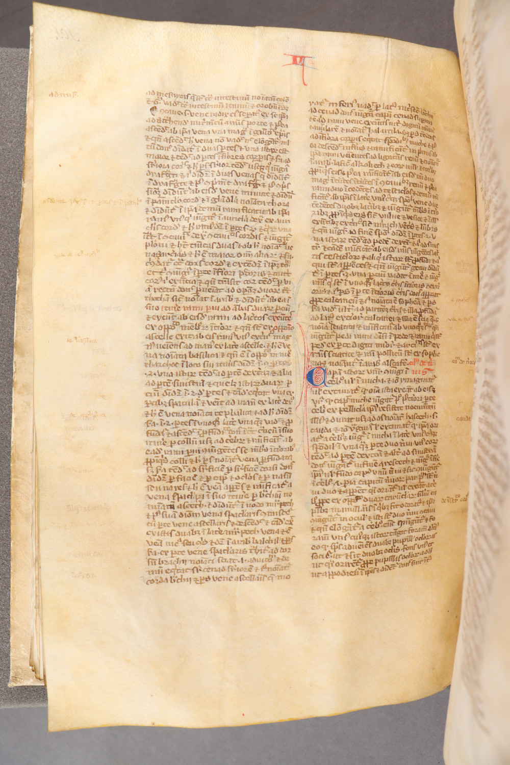 Folio 105 verso