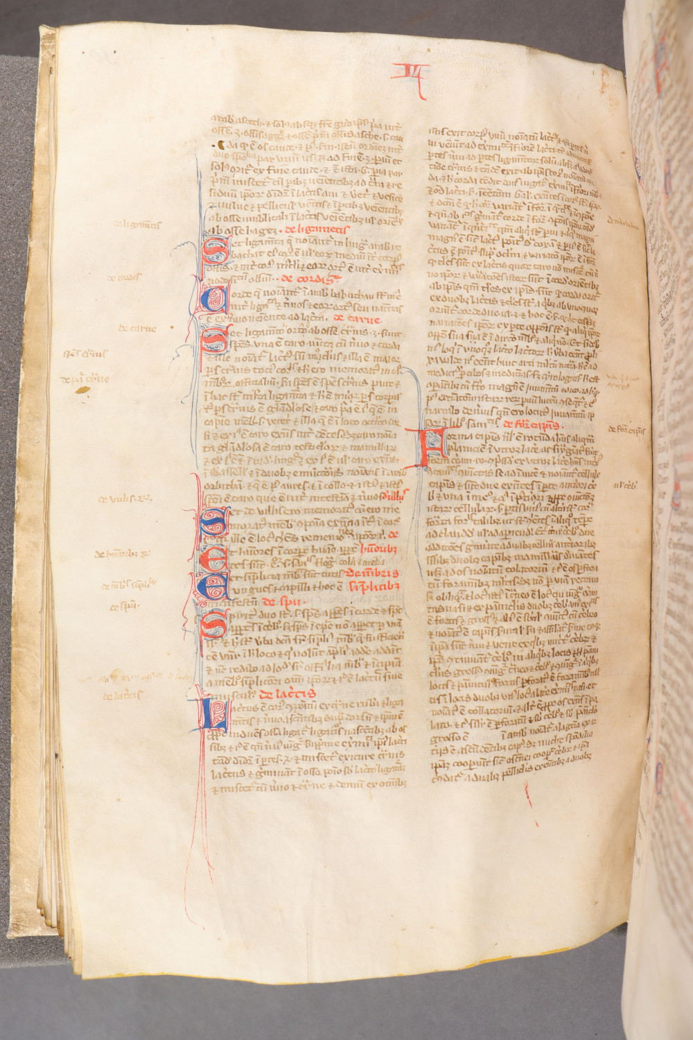 Folio 106 verso
