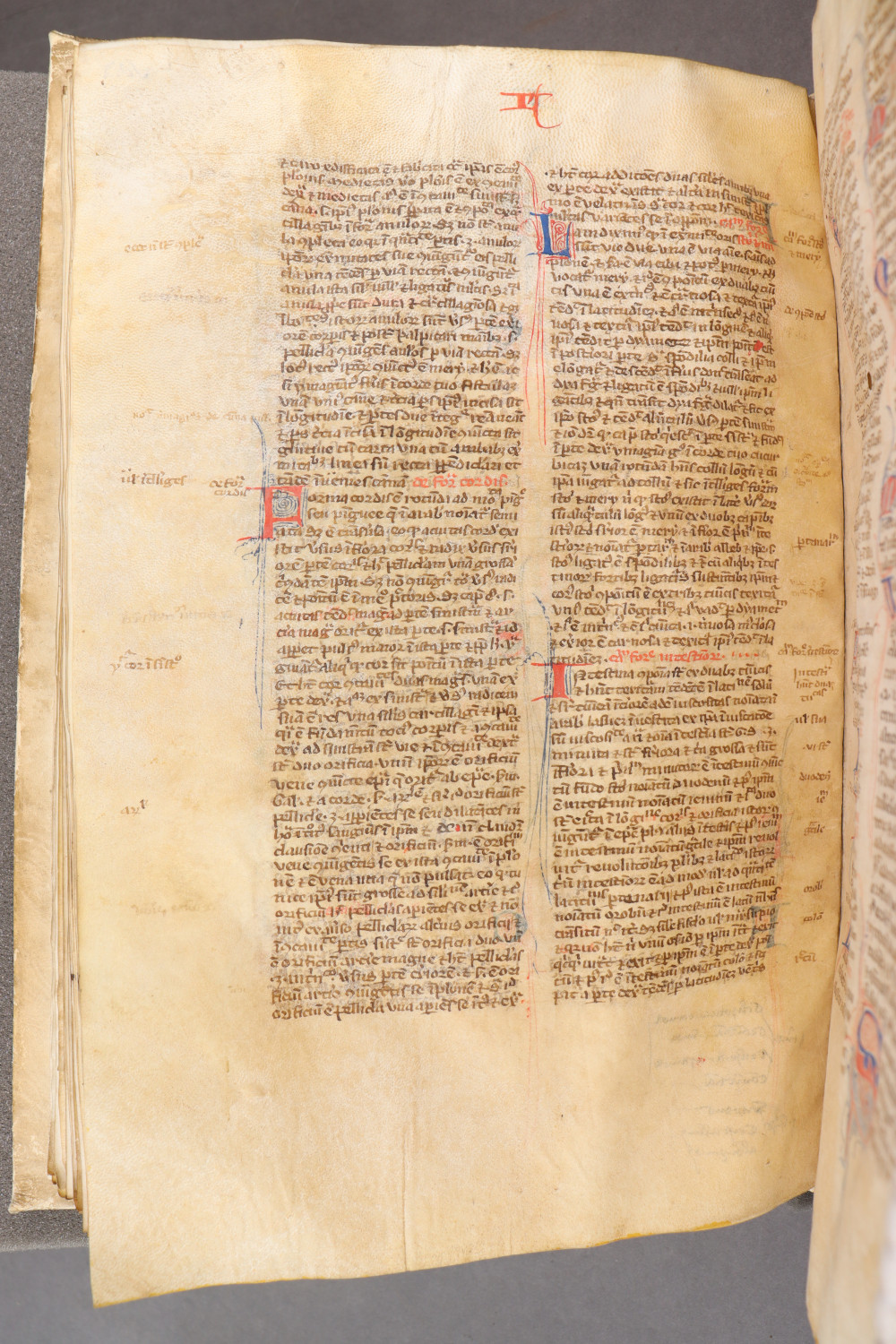 Folio 107 verso