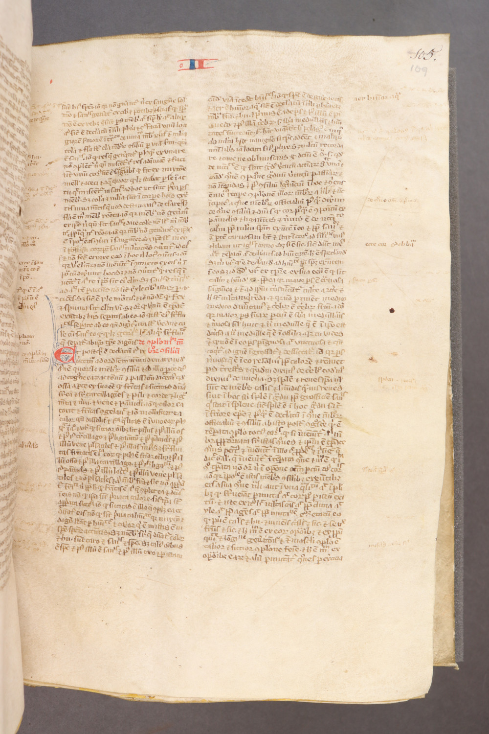 Folio 109 recto