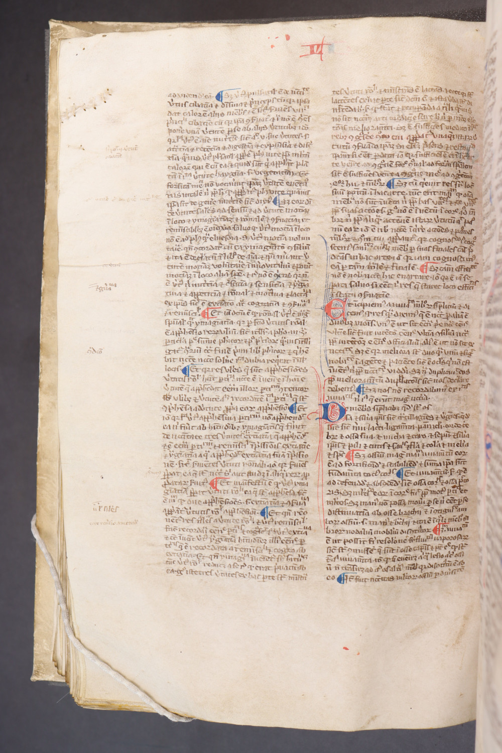 Folio 110 verso
