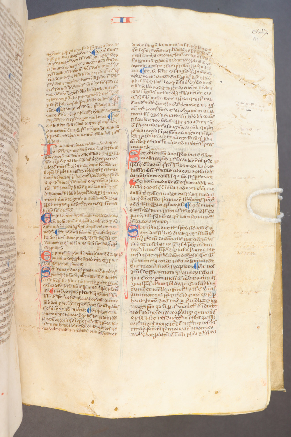 Folio 111 recto