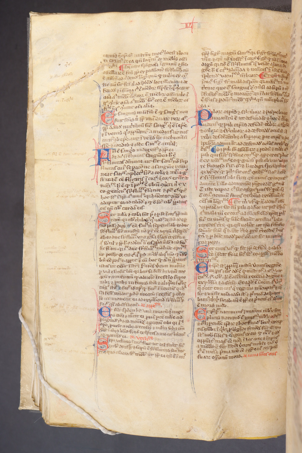 Folio 111 verso