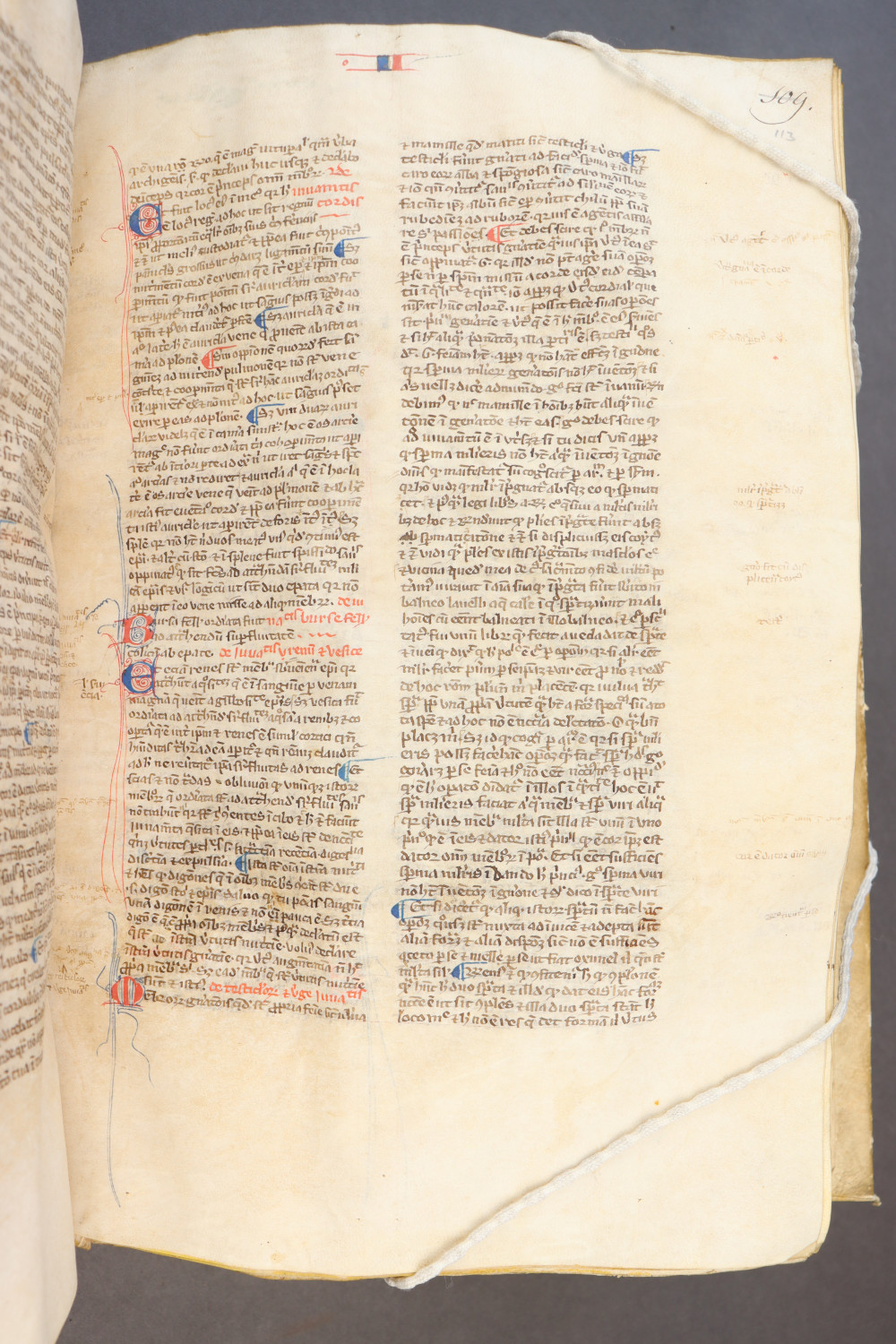 Folio 113 recto