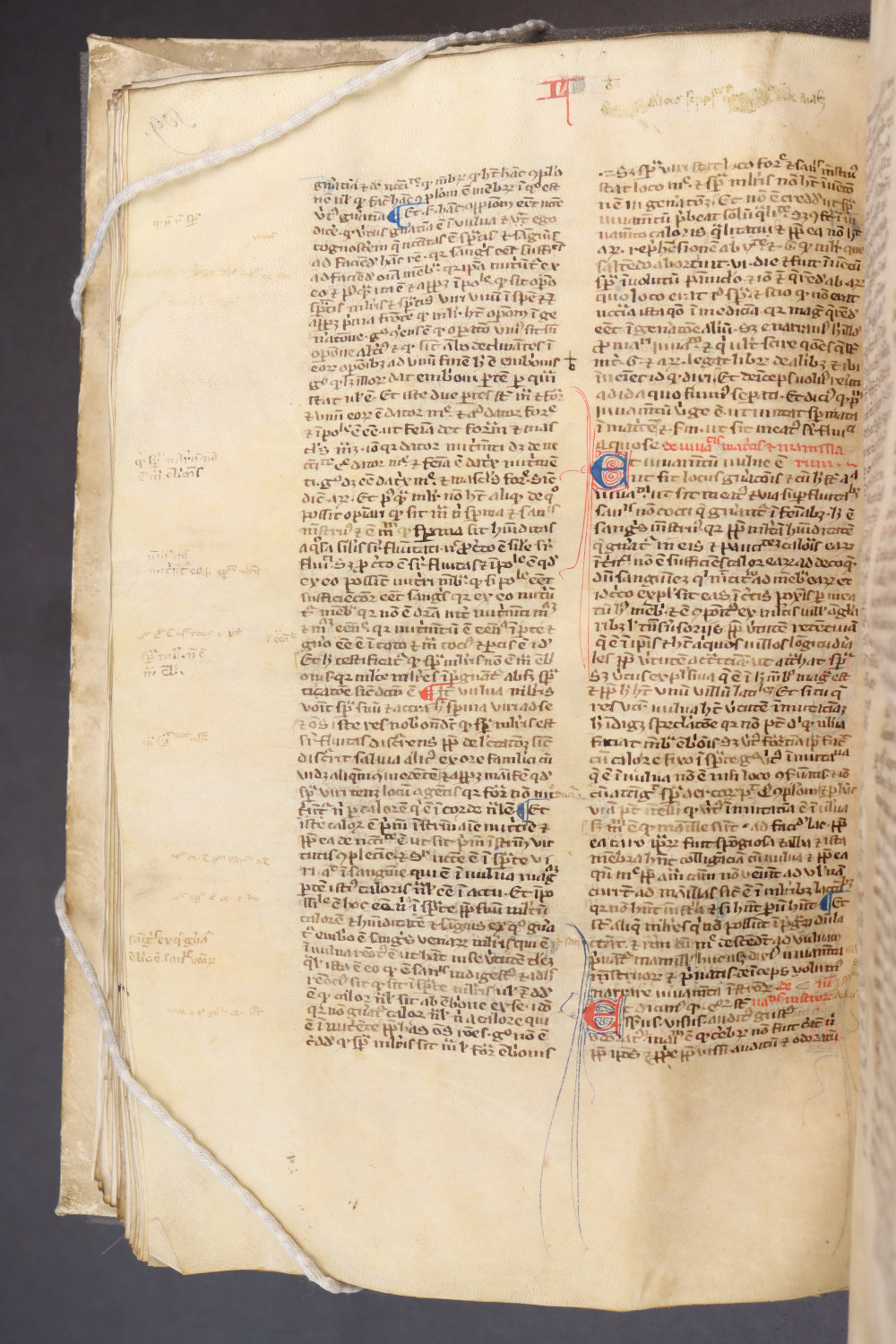 Folio 113 verso