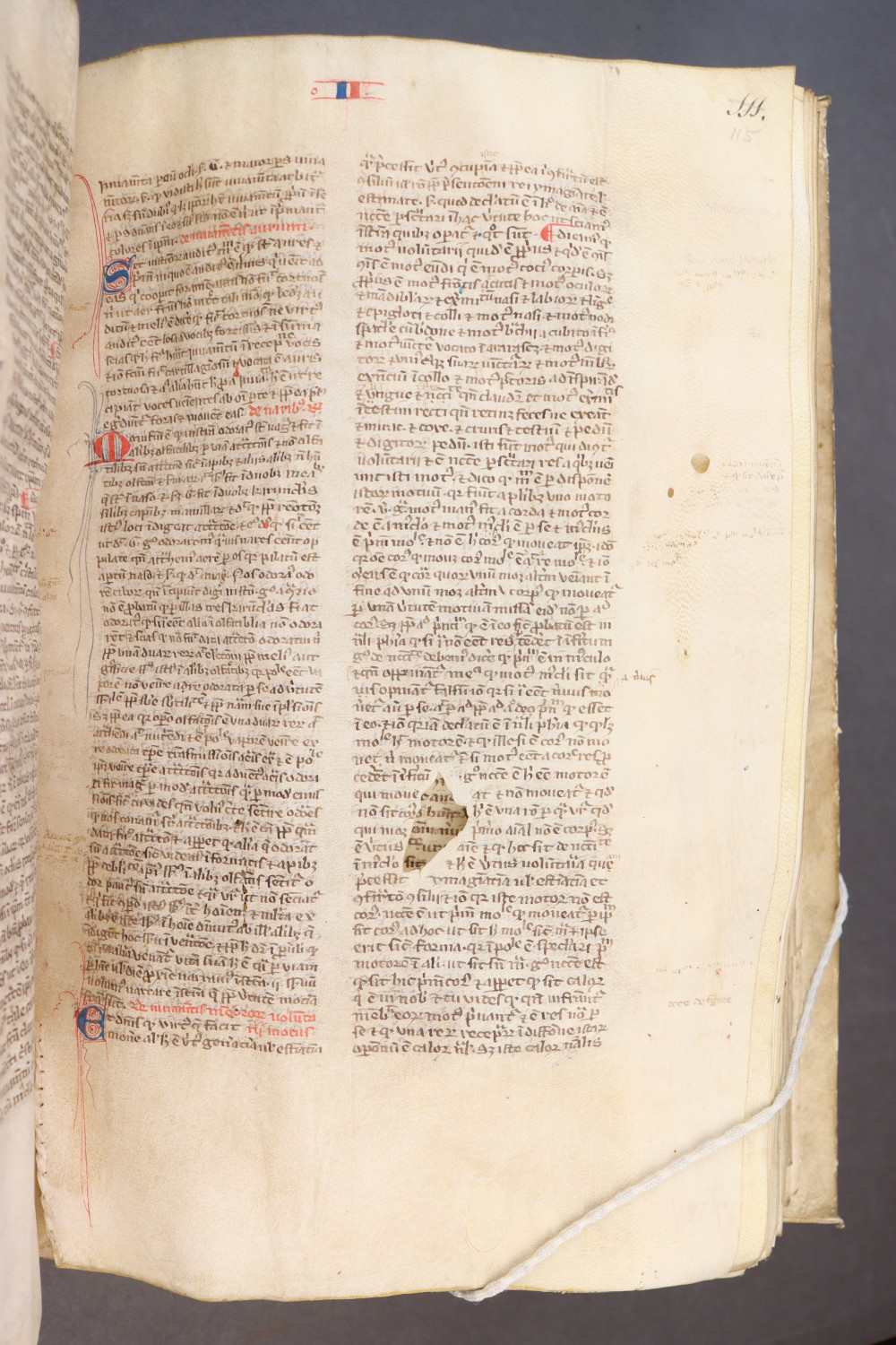 Folio 115 recto