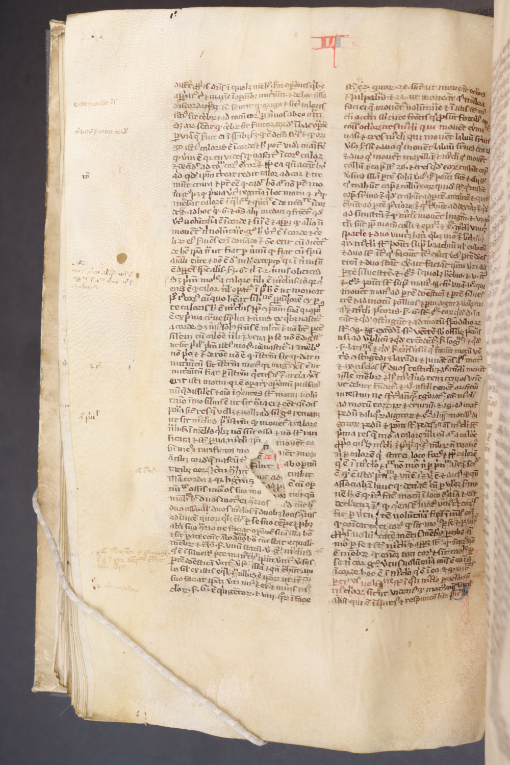 Folio 115 verso