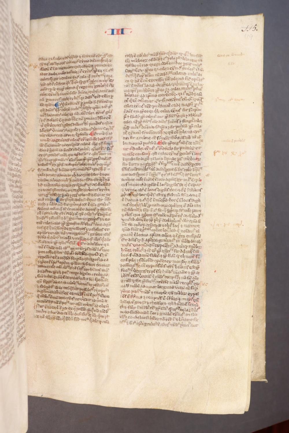 Folio 119 recto