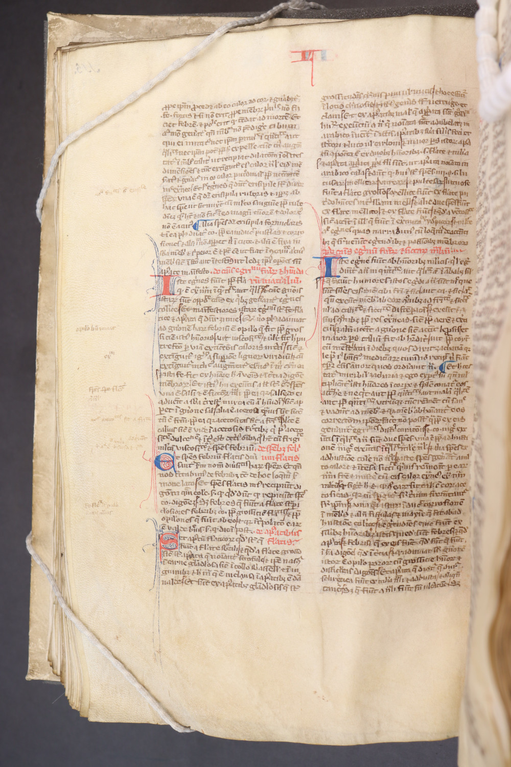 Folio 119 verso