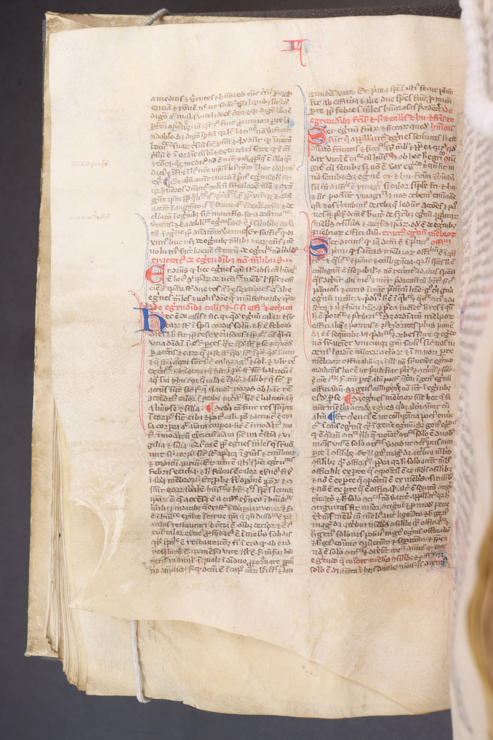 Folio 120 verso