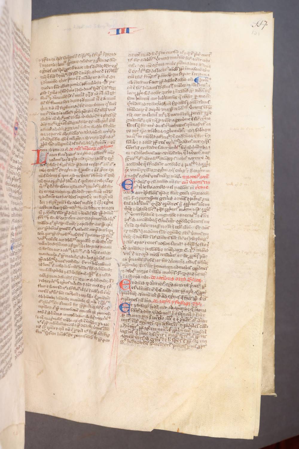 Folio 121 recto
